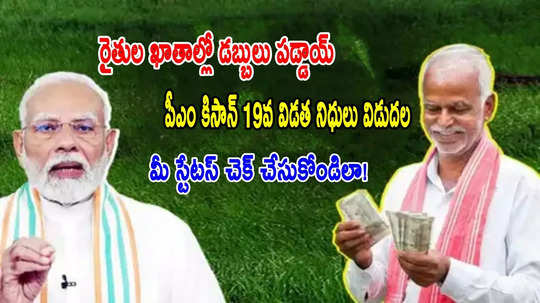 PM Kisan: ఒక్కొక్క రైతు ఖాతాలోకి రూ.2వేలు.. పీఎం కిసాన్ నిధులు విడుదల..స్టేటస్ చెక్ చేసుకోండిలా!