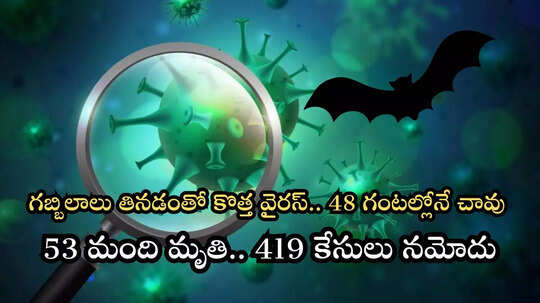 కాంగోలో మరో మహమ్మారి.. సోకిన 48 గంటల్లోనే మనుషుల ప్రాణాలు తీస్తున్న వైరస్