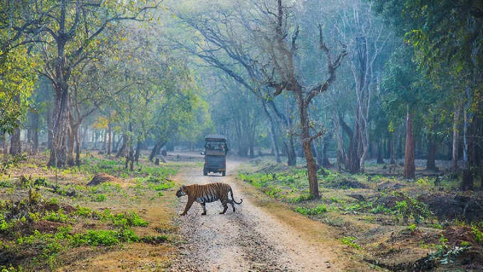 रणथंभौर नेशनल पार्क 