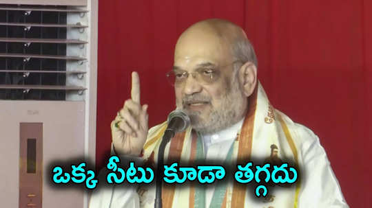 Amit Shah: నియోజకవర్గాల పునర్విభజనతో దక్షిణాదిన లోక్‌సభ సీట్లు తగ్గుతాయా.. అమిత్ షా క్లారిటీ