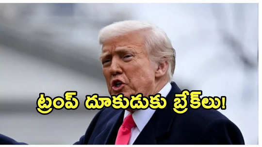 డొనాల్డ్ ట్రంప్, మస్క్‌లకు భారీ షాక్.. ఆ ఉత్తర్వులను నిలిపివేసిన ఫెడరల్ కోర్టు