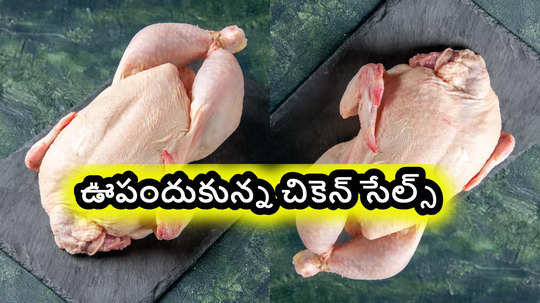 Chicken: కళకళలాడుతున్న చికెన్ షాపులు.. క్యూ కడుతున్న జనాలు.. కారణం ఇదేనా..?