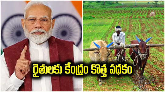 Narendra Modi: రైతులకు కేంద్రం గుడ్‌న్యూస్.. పీఎం ధన్ ధాన్య కృషి యోజనతో ఇక ఆ ఇబ్బందులు తప్పినట్లే!