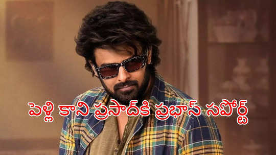 Prabhas: పెళ్లి కాని ప్రసాద్‌ కోసం మోస్ట్ ఎలిజిబుల్ బ్యాచిలర్ ప్రభాస్.. ఇదేదో ఇంట్రెస్టింగ్‌గా ఉందే!