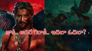 Nani The Paradise,The Paradise: కథలో కాకులు ఓకే ...