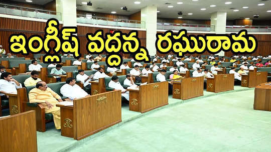 ఏపీ అసెంబ్లీలో ఆసక్తికర సీన్: ఇంగ్లీష్ వద్దమ్మా.. తెలుగులో మాట్లాడండి.. TDP MLAకు సలహా