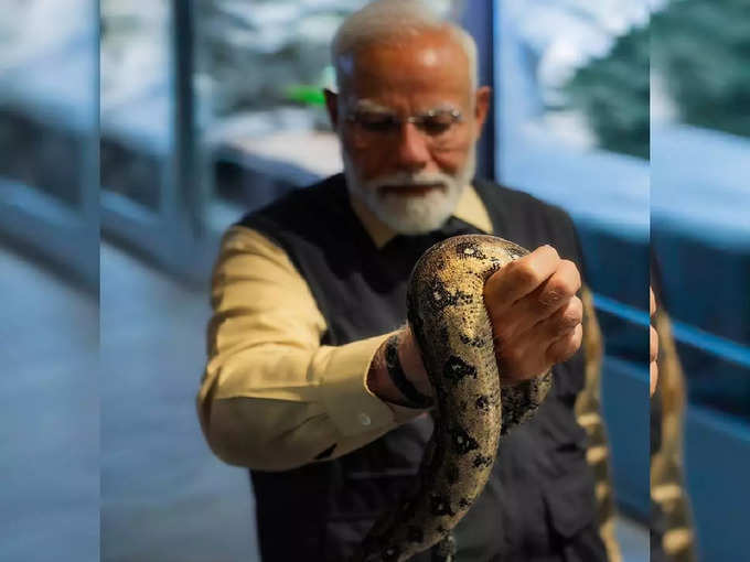 सांपों को पकड़ा मोदी जी ने 