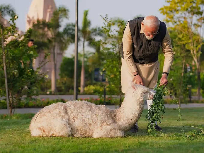 दूसरी प्रजाति के जानवर 