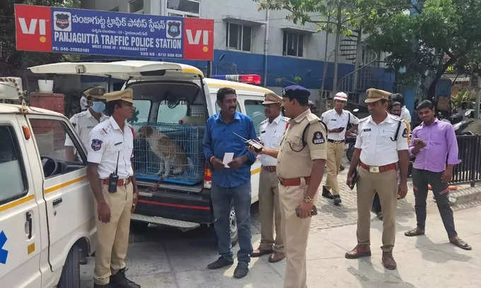 Ambulence Carrying Dog