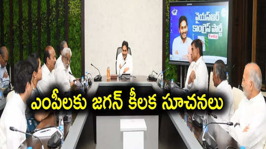 YSRCP: దక్షిణాదిలో డీలిమిటేషన్‌పై రచ్చ.. వైసీపీ ఎంపీలకు జగన్ కీలక సూచనలు