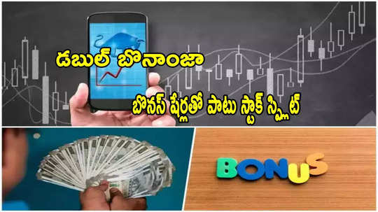 Penny stock: డబుల్ బొనాంజా.. 100 షేర్లకు 500 షేర్లు ఉచితం.. మార్చి 21 వరకు ఛాన్స్!