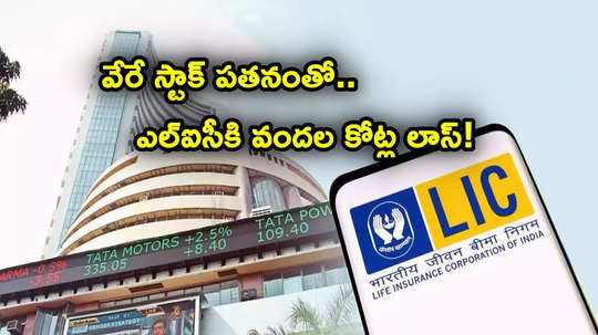 LIC: దెబ్బకొట్టిన ఇండస్‌ఇండ్ బ్యాంక్.. ఎల్ఐసీకి ఒక్కరోజే వందల కోట్ల నష్టం.. ఒక్క కారణంతో!