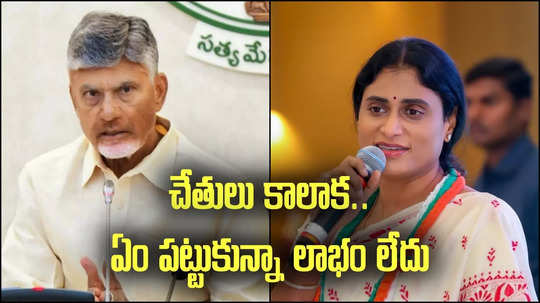 YS Sharmila: డీ లిమిటేషన్‌‌తో తెలుగు రాష్ట్రాలకు జరిగే నష్టమిదే..