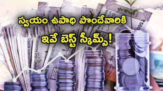 Saving Schemes: మీరు స్వయం ఉపాధి పొందుతున్నారా? ఈ పథకాలతో బంపర్ రిటర్న్స్!