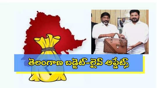 Telangana Budget Live 2025: తెలంగాణ బడ్జెట్‌ రూ.3.04 లక్షల కోట్లు.. శాఖల వారీగా కేటాయింపులు ఇవే..