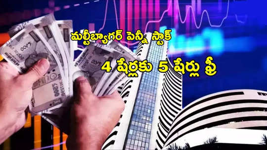 Bonus Shares: ఏడాదికే పెట్టుబడి డబుల్.. ఇప్పుడు ప్రతి 4 షేర్లకు 5 షేర్లు ఉచితం.. రికార్డ్ తేదీ ఇదే!