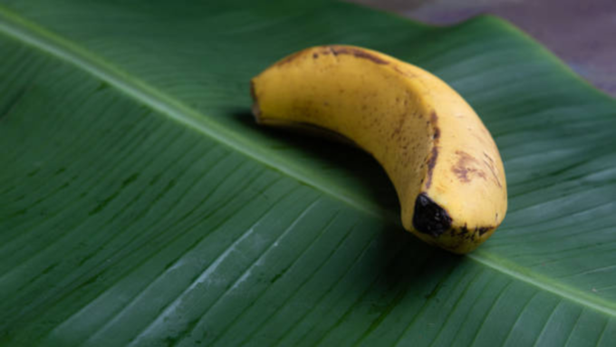 ಇದನ್ನು ತಿನ್ನಬಾರದು