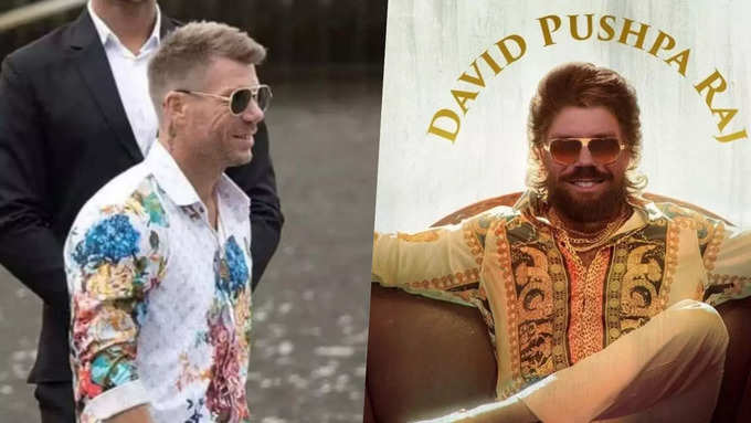 David Warner Pushpa Spoof