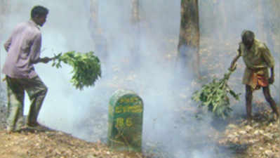 ಬಿಆರ್‌ಟಿ ವನ್ಯಧಾಮದಲ್ಲಿ ಫೈರ್‌ಲೈನ್