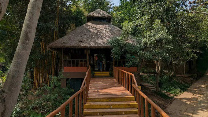 You will find budget hotels in Chikmagalur You will find budget hotels in Chikmagalur