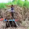 Samastipur News, समस्तीपुर समाचार ...