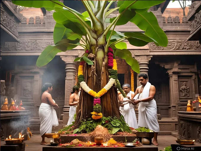केले के पेड़ पर कच्चा दूध चढ़ाएं केले के पेड़ पर कच्चा दूध चढ़ाएं