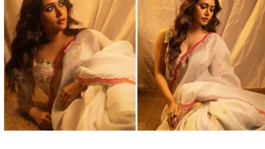 कैसी है साड़ी