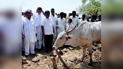 ವಿಜಾಪುರ ಜಿಲ್ಲೆಯಲ್ಲಿಯೇ ಹೆಚ್ಚು ಬರ:ಶೆಟ್ಟರ್