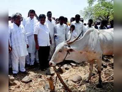 ವಿಜಾಪುರ ಜಿಲ್ಲೆಯಲ್ಲಿಯೇ ಹೆಚ್ಚು ಬರ:ಶೆಟ್ಟರ್