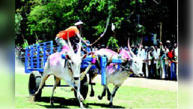 ರಾಜ್ಯ ಮಟ್ಟದ ಜೋಡೆತ್ತಿನ ಗಾಡಿ ಓಟದ ಸ್ಪರ್ಧೆ