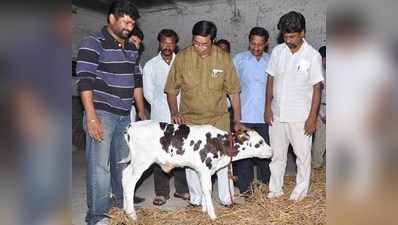 ಡೇರಿಗೆ  ಆಸ್ಕರ್ ಫರ್ನಾಂಡೀಸ್  ಭೇಟಿ