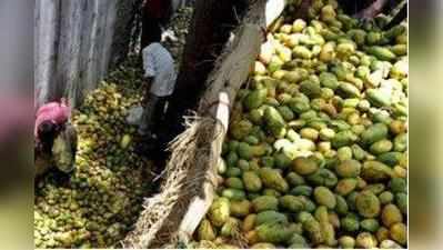 ಹೈ ಆದೇಶ ಉಲ್ಲಂಘನೆ:  ಮಂಡಿ ಮಾಲೀಕರ ವಿರುದ್ಧ ಕ್ರಮಕ್ಕೆ ಆಗ್ರಹ