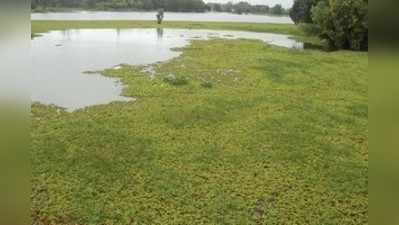 5 ಸಾವಿರ ಎಕರೆಗೆ ಅಂತರಗಂಗೆ ಲಗ್ಗೆ