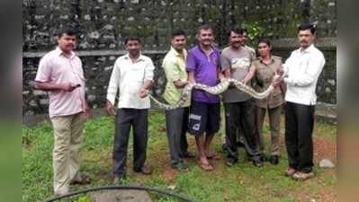 ಜೈಲು ಕಾಯುವವರನ್ನೇ ಹೆದರಿಸಿದ ಹೆಬ್ಬಾವು!