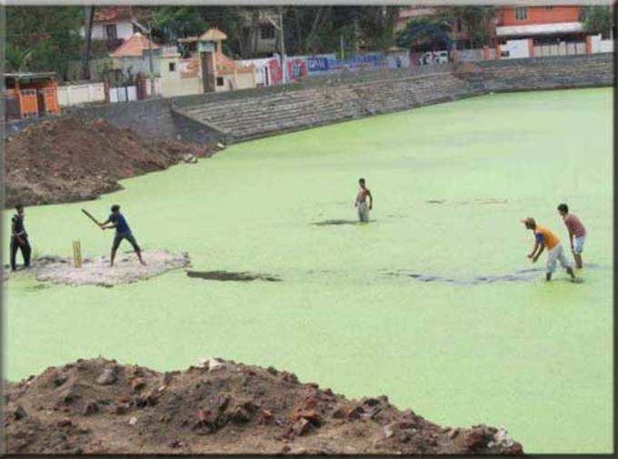 क्रिकेट की दीवानगी