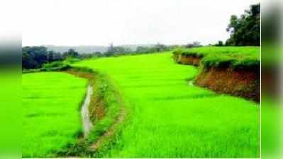 ಶೃಂಗೇರಿ ತಾಲೂಕಿನಲ್ಲಿ ನಾಟಿ ಕಾರ್ಯಕ್ಕೆ ಸಿದ್ಧತೆ