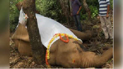 ಎಲ್ಲರ ಪ್ರೀತಿಗೆ ಪಾತ್ರವಾಗಿದ್ದ  ಸರಸ್ವತಿ ಸಾವು