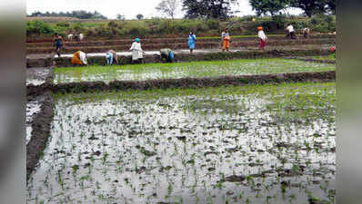 ನಾಲೆ ನೀರಿನಲ್ಲೇ ಕೃಷಿ ಆರಂಭ