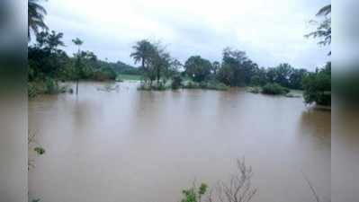 ಕುಂದಾಪುರ ಜಲರಾಶಿಯಲ್ಲಿ ಬಂಧಿ