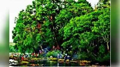 ಕಾಳಿ ತೋರಿಸಿದ ಕಾಡು ದಾರಿ