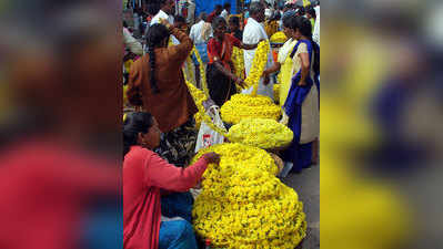 ಸೇವಂತಿಗೆ ಬೆಲೆ ಕುಸಿತ