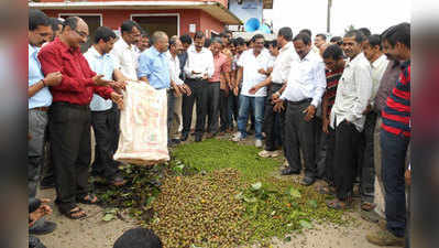 ಕಾಫಿಗೆ ಕೊಳೆ ರೋಗ: ಫಸಲು ಸುರಿದು ಪ್ರತಿಭಟನೆ