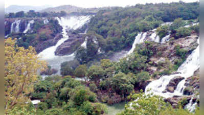 ಕಳವಳದ ಮಧ್ಯೆಯೂ ಕಳೆಗಟ್ಟಿದ ಭರಚುಕ್ಕಿ