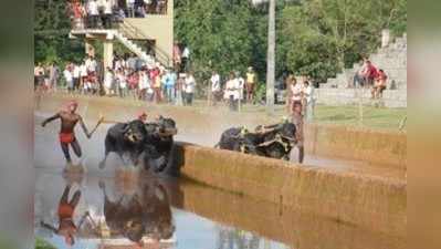 ಪ್ರಾಯೋಗಿಕ ಲವ ಕುಶ ಜೋಡುಕರೆ ಕಂಬಳಕ್ಕೆ ಚಾಲನೆ