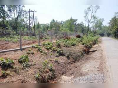 ಸಿದ್ದಾಪುರ ಸಮೀಪ ದೈವಿವನ ನಿರ್ಮಾಣಕ್ಕೆ ಚಾಲನೆ