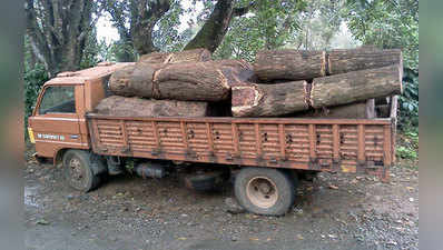 ಅಕ್ರಮ ಬೀಟೆ ಸಾಗಣೆ: ಇಬ್ಬರ ಬಂಧನ