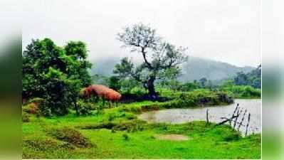 ಮಂಜಿನಲಿ ಮೀಯಲು ಹೊರಟ್ಟಿಗೆ ಹೊರಡಿ