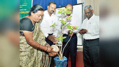 ನನ್ನದು ಸ್ವಾವಲಂಬಿ ಸಂಪಾದನೆ