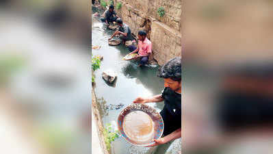 ಮೈಸೂರಿನಲ್ಲಿ ಗೋಲ್ಡ್ ಸ್ವೀಪರ್‍ಸ್ !