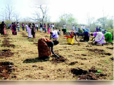 ಬಗರ್‌ಹುಕುಂ ಜಮೀನಿನಲ್ಲಿ ನೆಡುತೋಪು: ರೈತರಿಂದ ತಡೆ